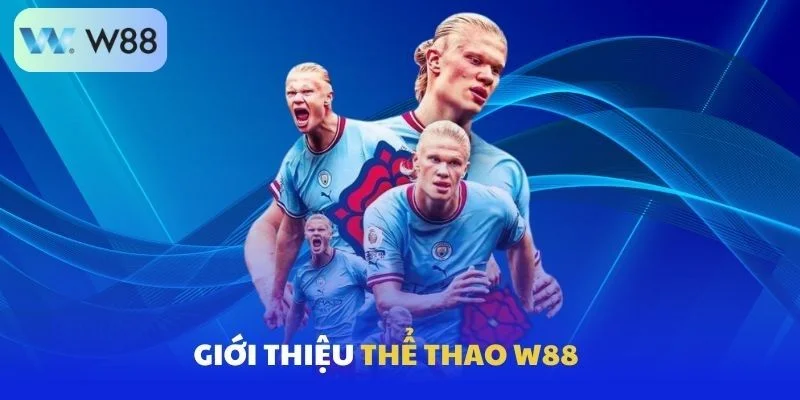 Thể Thao W88 - Thỏa Mãn Đam Mê Và Nhận Thưởng Khủng 2 Sơ lược thông tin về sảnh thể thao W88