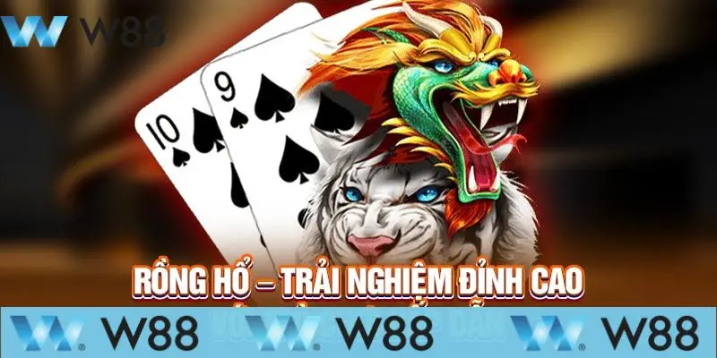 Mẹo chơi game rồng hổ từ cao thủ